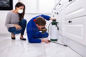 Best Fumigation Services  in Deer Park, IL